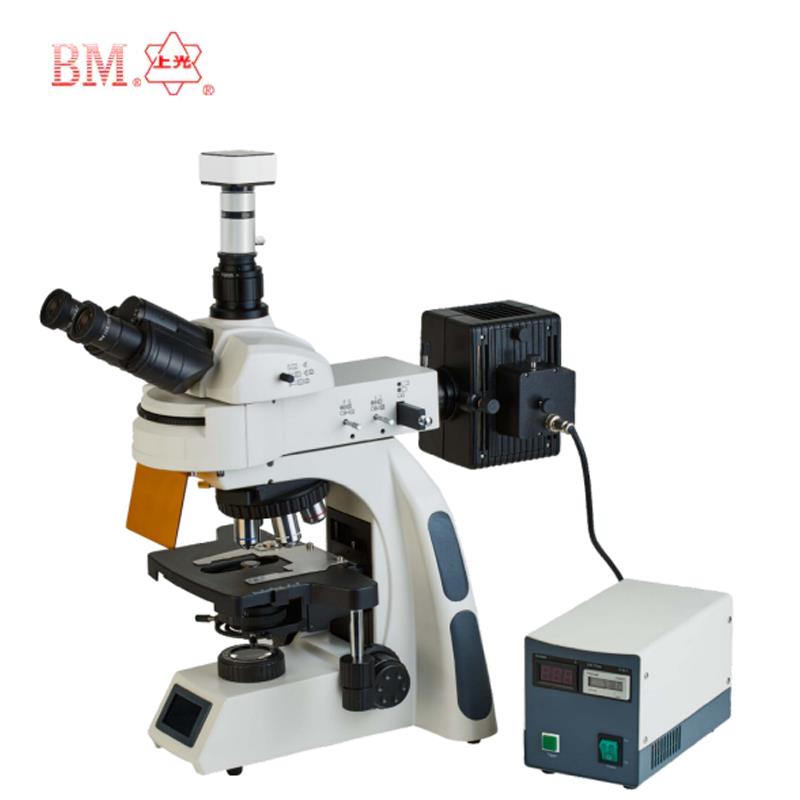 上海彼爱姆电脑型落射荧光显微镜BM-21AYF4D