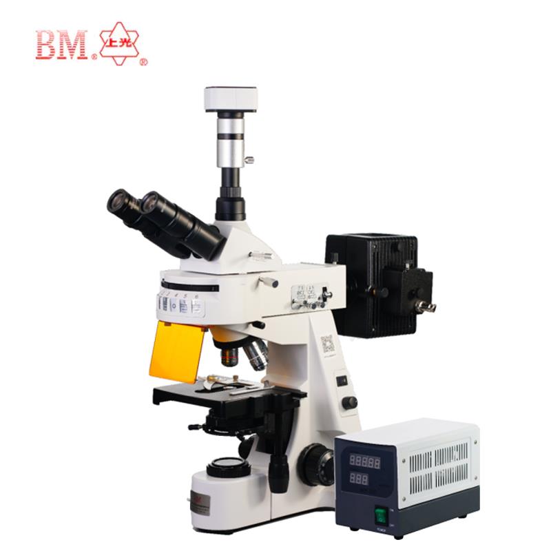 上海彼爱姆电脑型荧光显微镜BM-19AYD